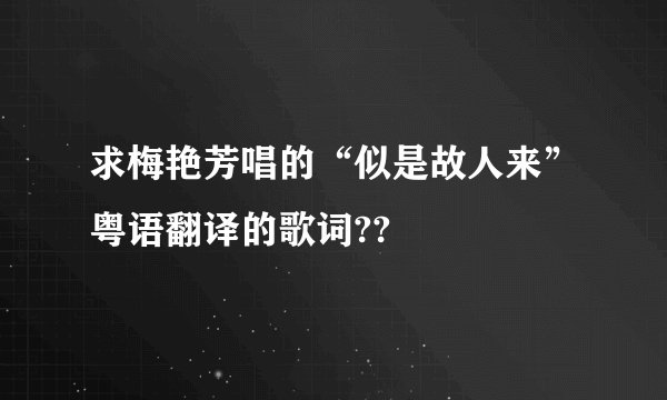 求梅艳芳唱的“似是故人来”粤语翻译的歌词??