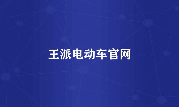 王派电动车官网