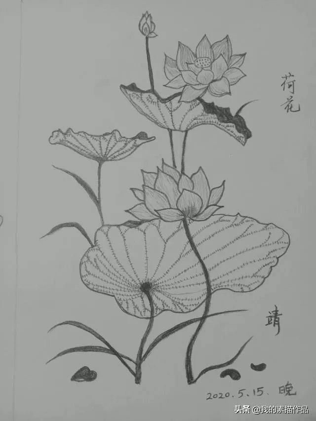 想自学绘画,请问要怎么做?