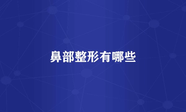 鼻部整形有哪些