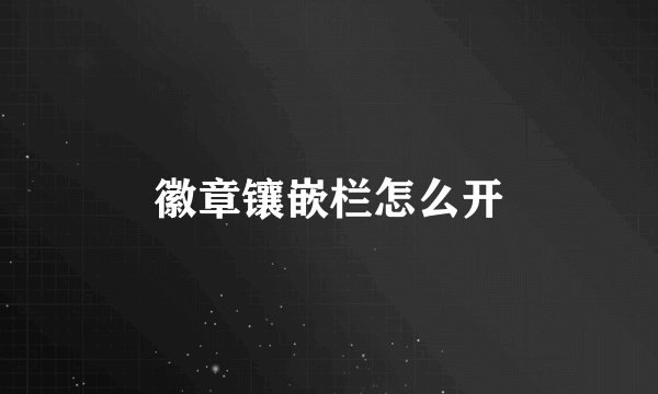 徽章镶嵌栏怎么开