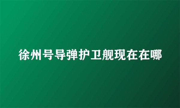 徐州号导弹护卫舰现在在哪