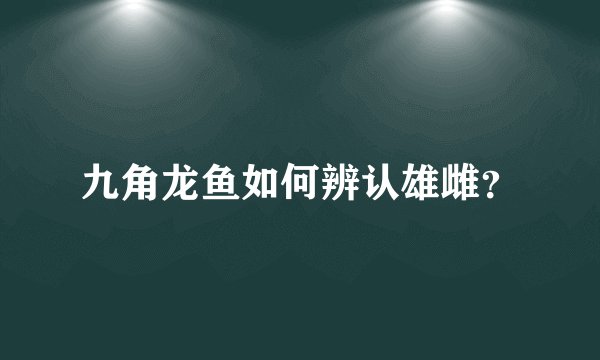 九角龙鱼如何辨认雄雌？