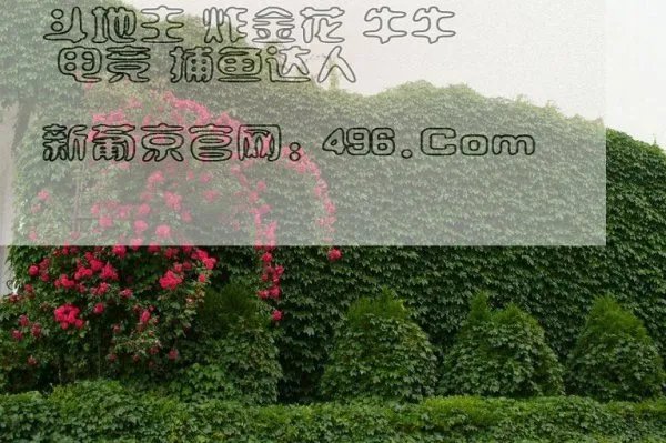 广西快乐双彩好运三玩法，中两个得钱吗