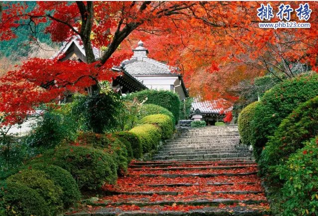 世界十大城市面积排名:北京排第二(16410.5万平方千米)