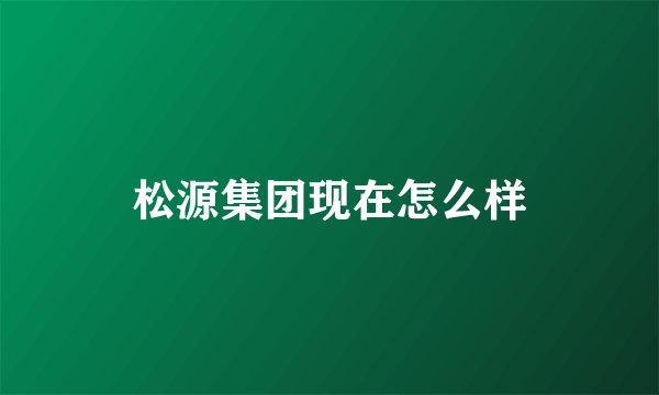 松源集团现在怎么样