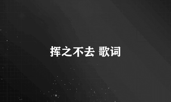 挥之不去 歌词