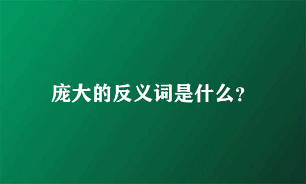 庞大的反义词是什么？