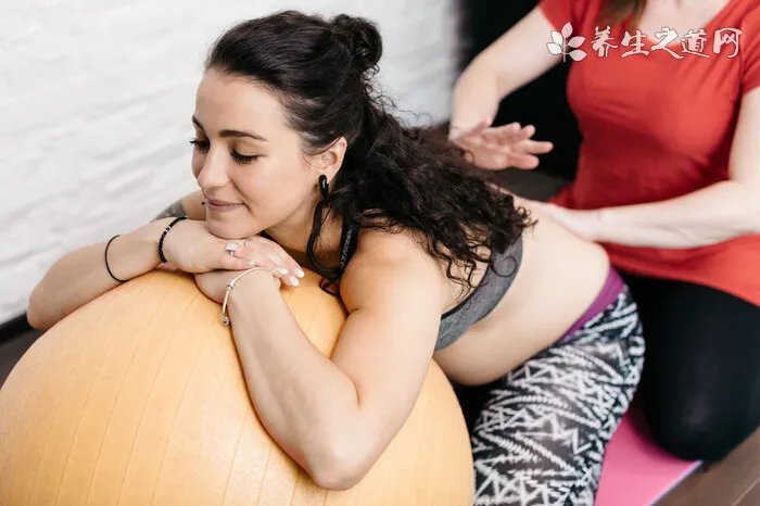 沙皮价格