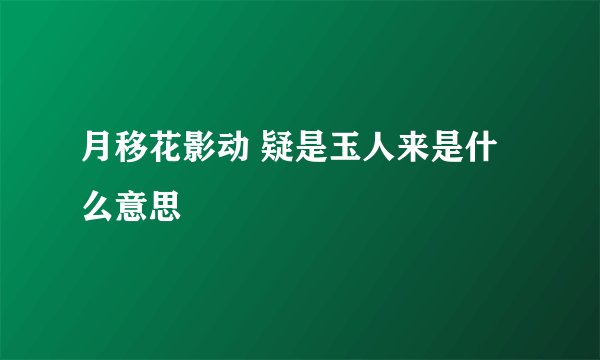 月移花影动 疑是玉人来是什么意思