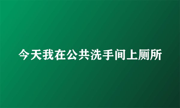 今天我在公共洗手间上厕所
