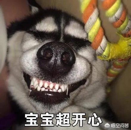 2018年斗鱼嘉年华的规模到底有多大?