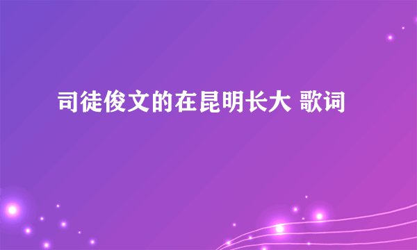 司徒俊文的在昆明长大 歌词