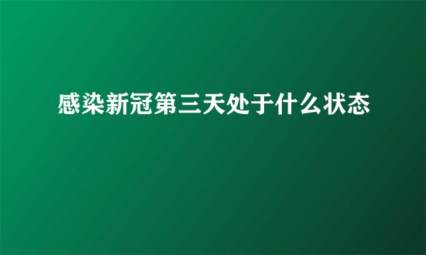 感染新冠第三天处于什么状态