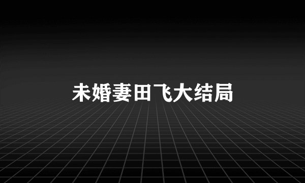 未婚妻田飞大结局