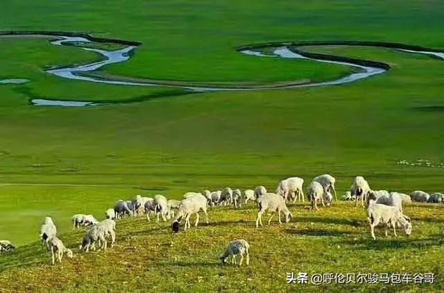 尼康d300s怎么样?