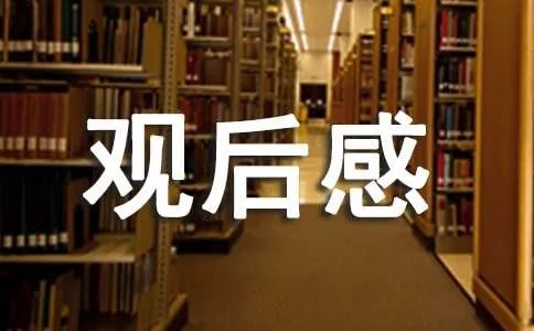《吧嗒吧嗒》观后感分享