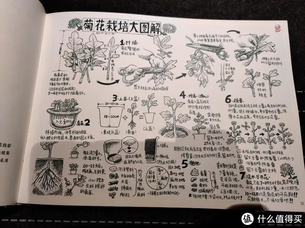 不求甚解集 篇二十:我们的八十年代:《漫步八十年代:老北京拾遗》