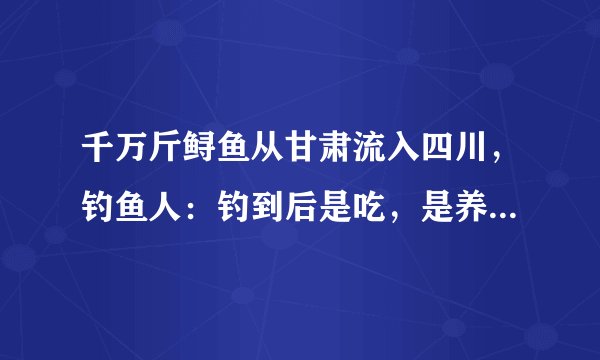 千万斤鲟鱼从甘肃流入四川，钓鱼人：钓到后是吃，是养，还是卖？