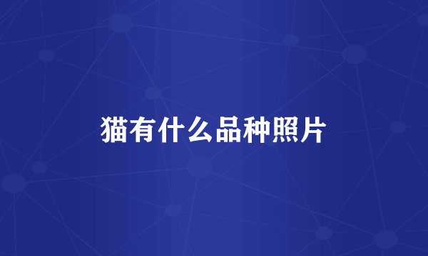 猫有什么品种照片