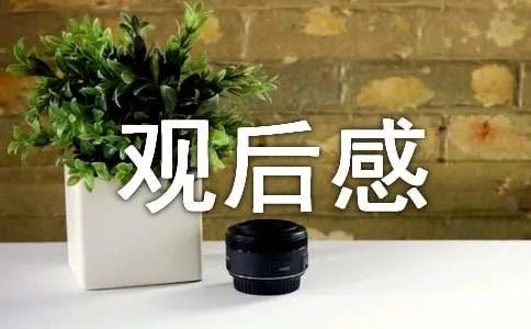 人生遥控器观后感