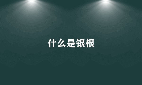 什么是银根