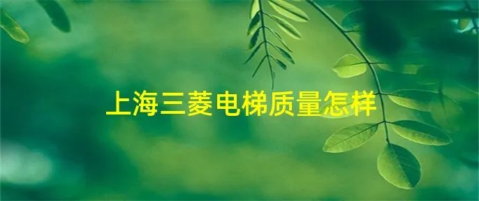 上海三菱电梯质量怎样