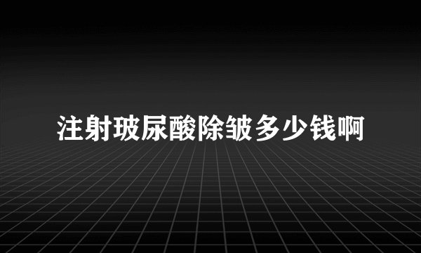 注射玻尿酸除皱多少钱啊