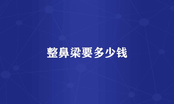 整鼻梁要多少钱