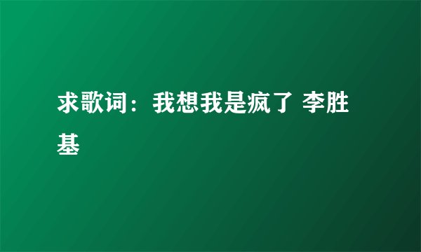 求歌词：我想我是疯了 李胜基