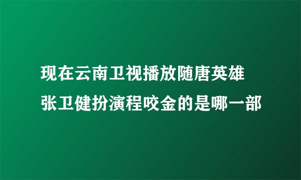 现在云南卫视播放随唐英雄 张卫健扮演程咬金的是哪一部