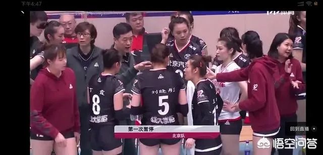 2018-2019女排全明星赛即将开赛,有哪些看点?你期待吗?