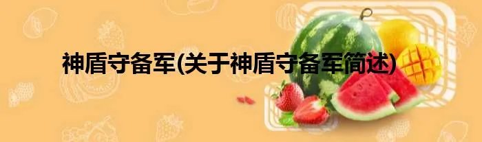 神盾守备军(关于神盾守备军简述)