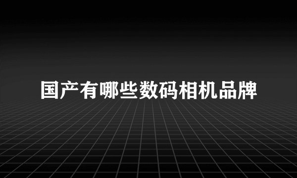 国产有哪些数码相机品牌
