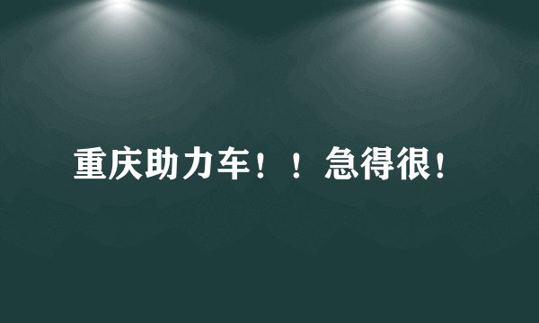 重庆助力车!!急得很!
