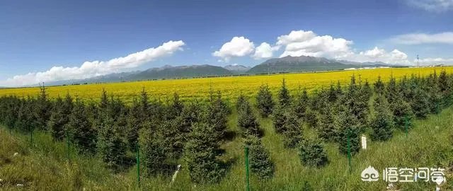 八九月份适合去哪里旅游?