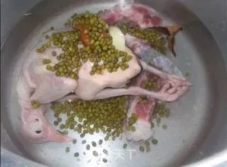 清热解毒 乳鸽绿豆汤
