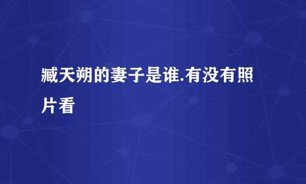 臧天朔的妻子是谁.有没有照片看