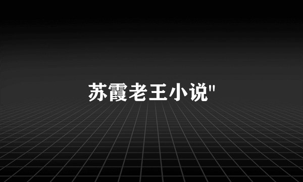 苏霞老王小说