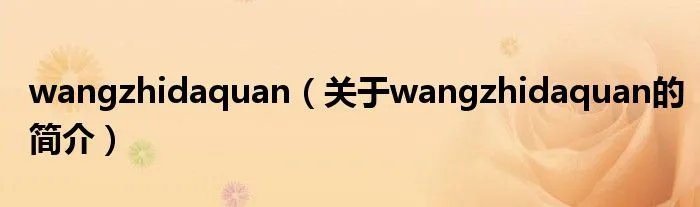 wangzhidaquan（关于wangzhidaquan的简介）