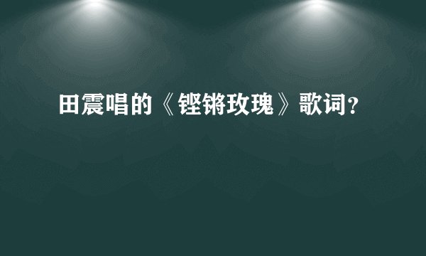 田震唱的《铿锵玫瑰》歌词？