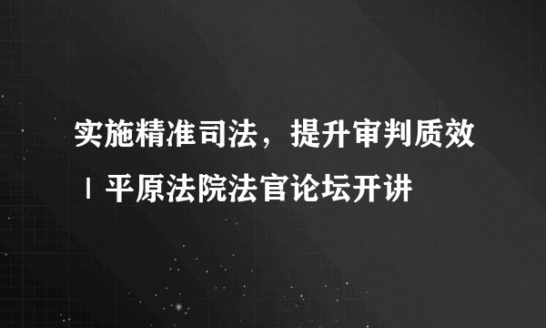实施精准司法，提升审判质效｜平原法院法官论坛开讲