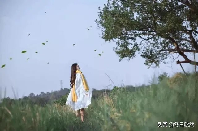 为什么现在有的学生喜欢假装自己「不努力」?