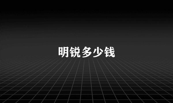 明锐多少钱