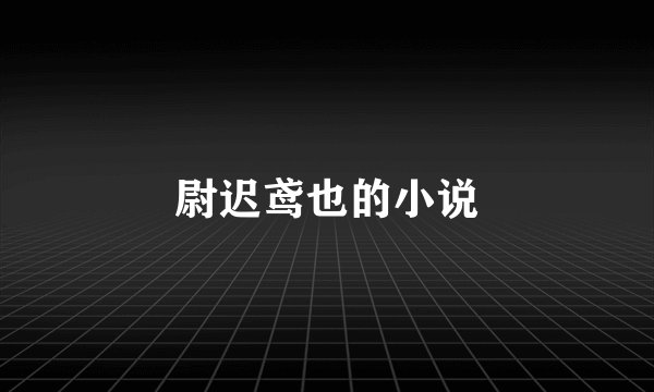 尉迟鸢也的小说