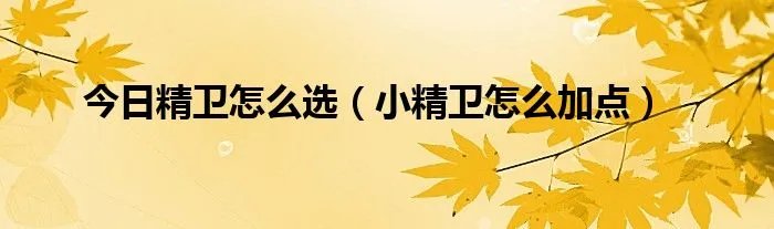 今日精卫怎么选（小精卫怎么加点）