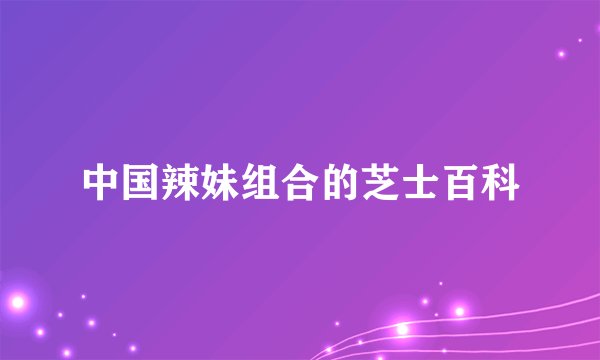 中国辣妹组合的芝士百科