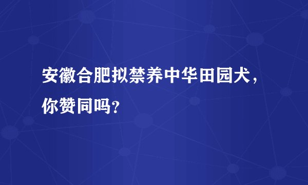 安徽合肥拟禁养中华田园犬，你赞同吗？