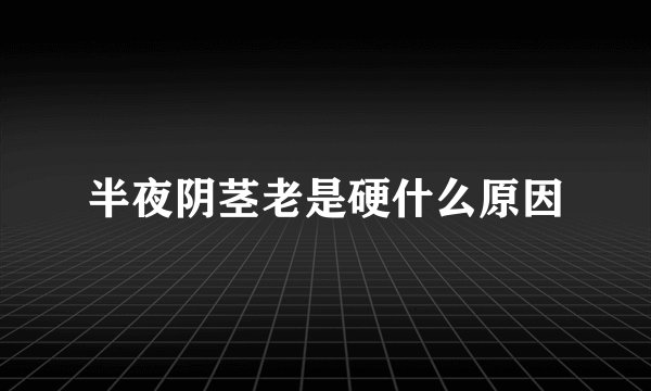 半夜阴茎老是硬什么原因