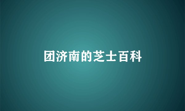团济南的芝士百科